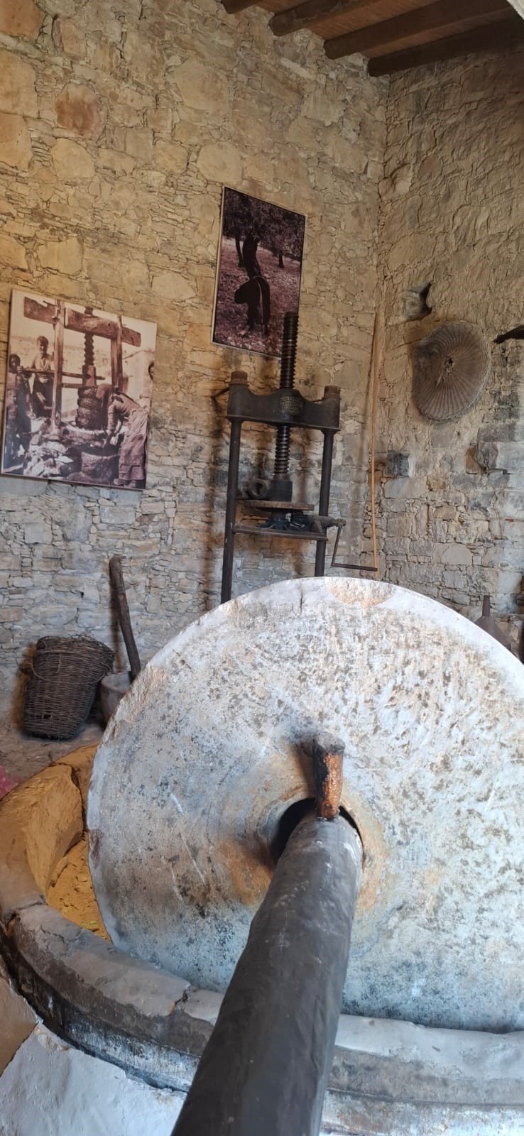 Olive Mill