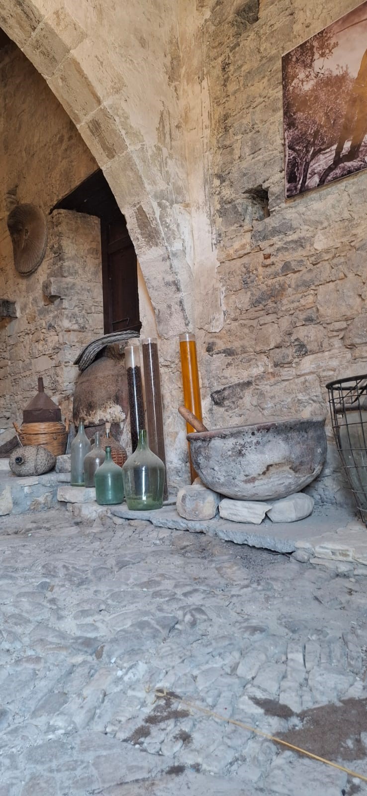 Olive Mill
