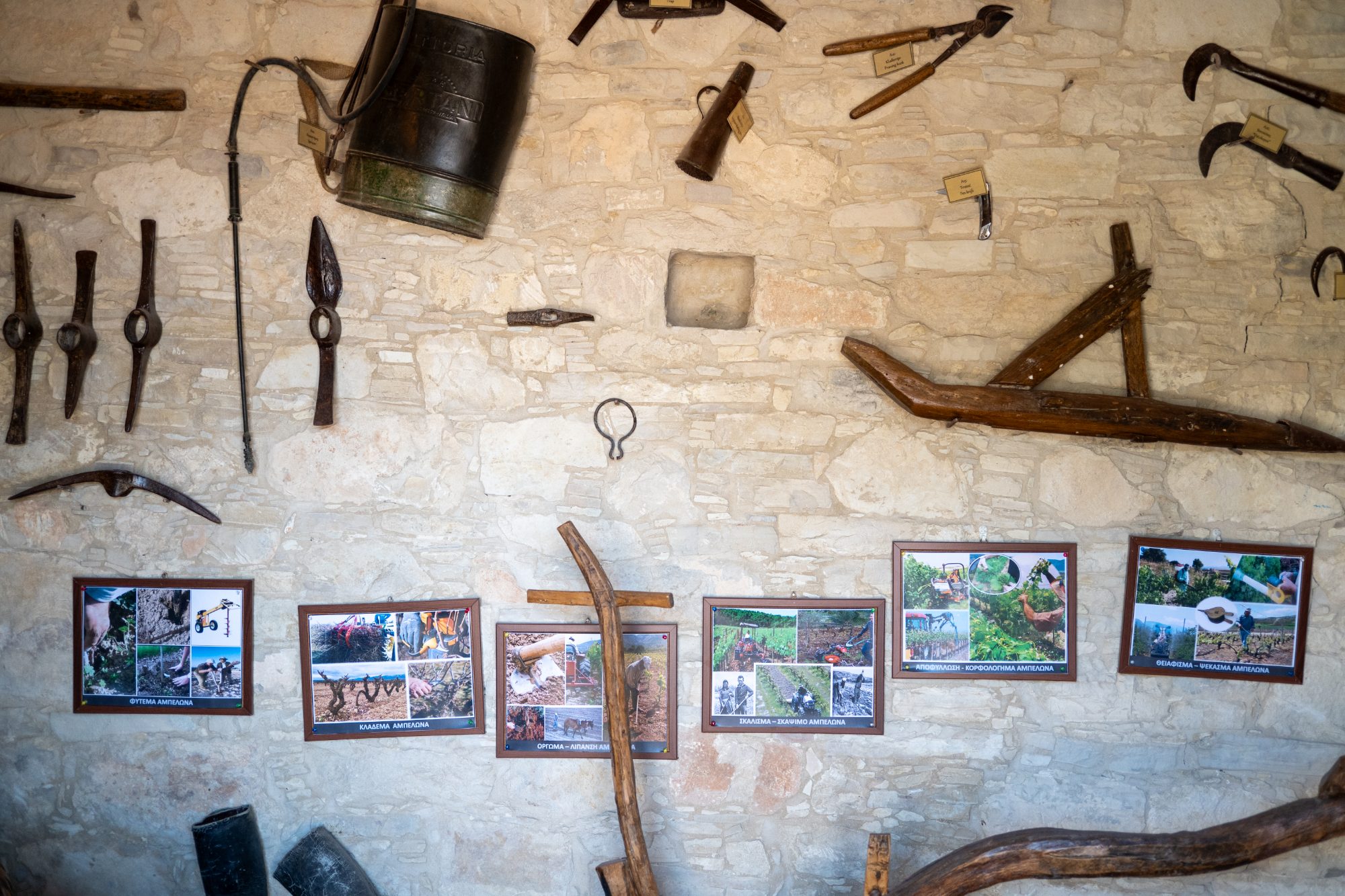 Viticulture Museum