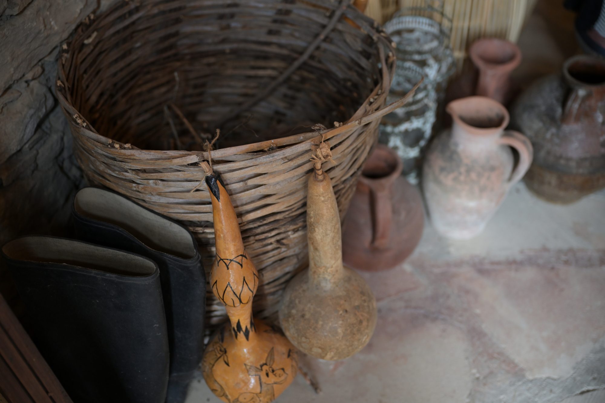 Olive Oil Museum